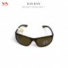 Kính Mát Ray-Ban 4307-710/83 (Polarized) - Tròng Nâu Phân Cực Cho Người Lái Xe